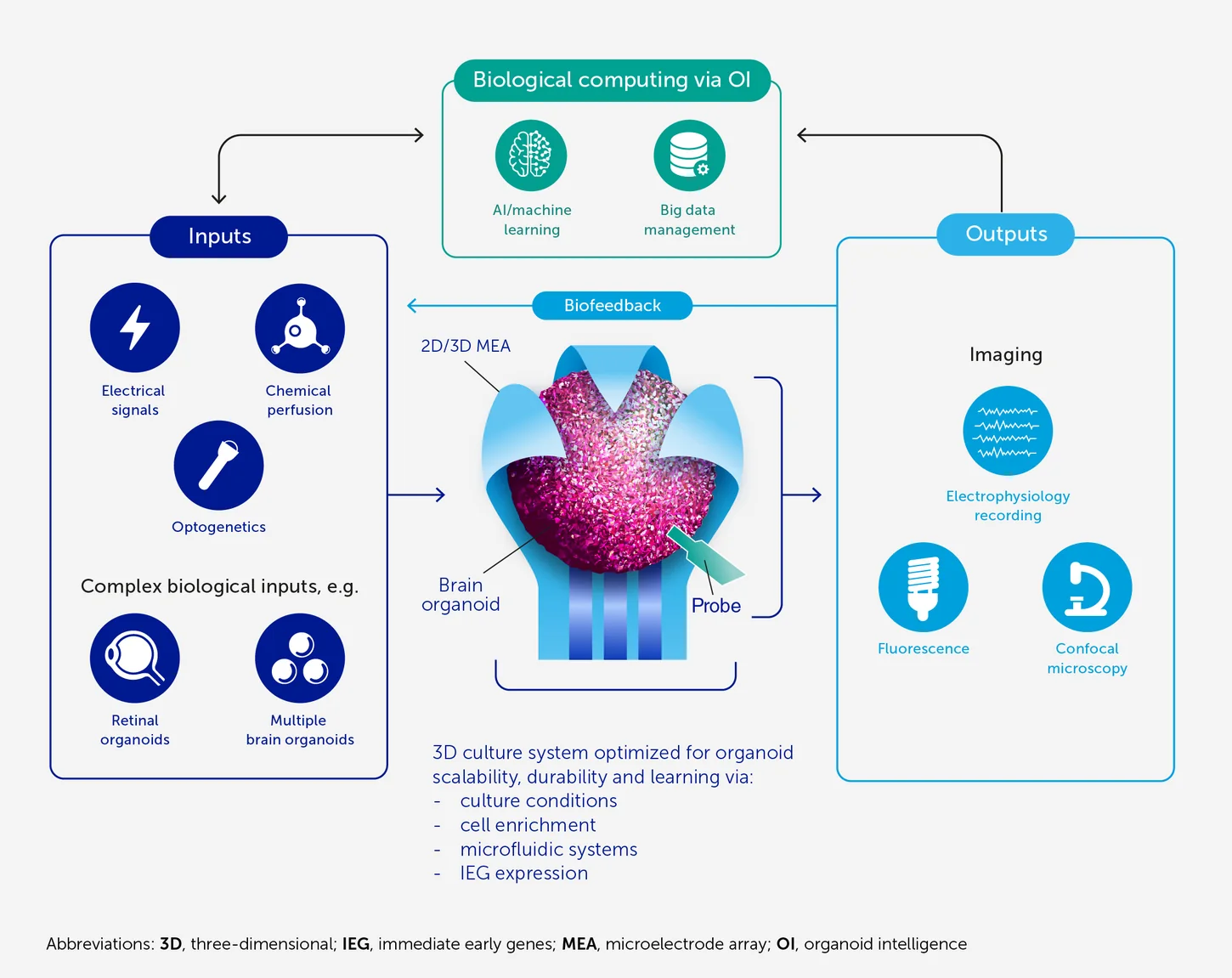 Published architecture for an organoid-intelligence biological computing system